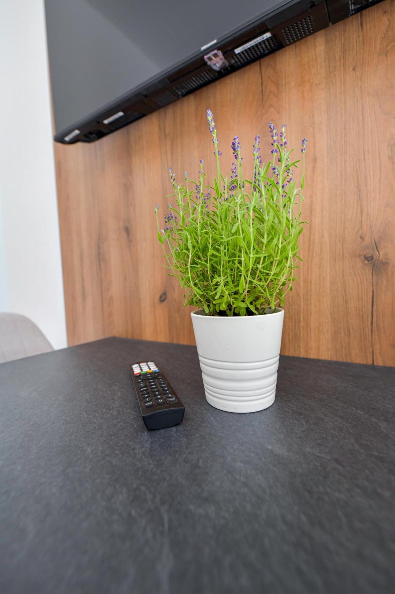 Sloneczne Wzgorze Zator Apartment Luaran gambar